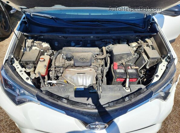 JTMBFREV1GJ094779 2016 TOYOTA RAV4 White Սալոնի հետևի տեսք