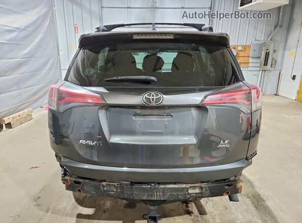 JTMBFREV1HJ115485 2017 TOYOTA RAV4 Gray Հետևի տեսք