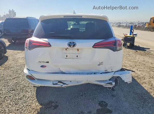 JTMBFREV2JJ208179 2018 TOYOTA RAV4 Белый Вид сзади