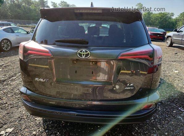 JTMBFREV3JJ209793 2018 TOYOTA RAV4 Gray Հետևի տեսք