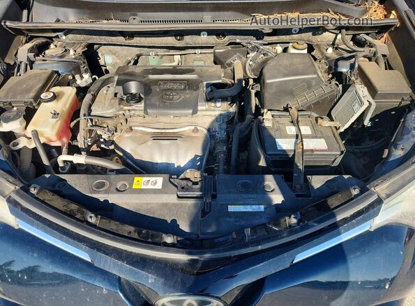 JTMBFREV4HJ119126 2017 TOYOTA RAV4 Синий Вид задней части салона
