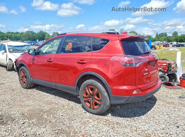 JTMBFREV4HJ126870 2017 TOYOTA RAV4 Red Tył lewy