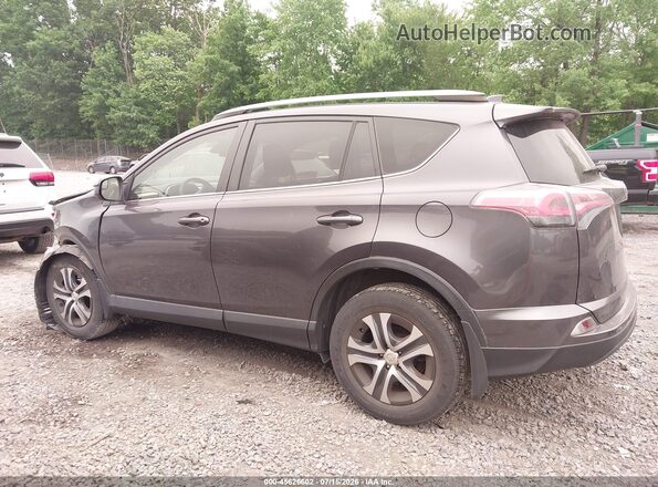 JTMBFREV4HJ131034 2017 TOYOTA RAV4 Black Панорамний вид салону 360°