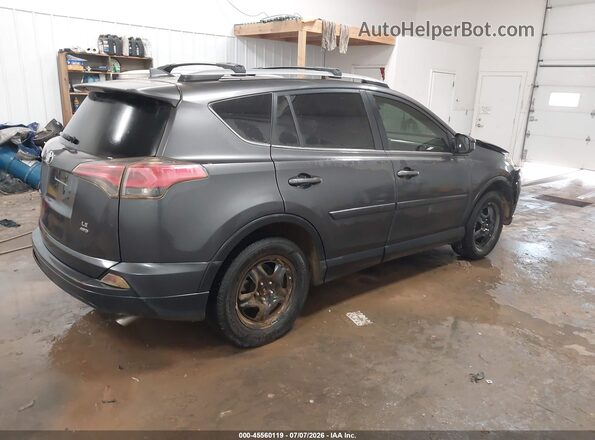 JTMBFREV5HJ711635 2017 TOYOTA RAV4 Gray Задня права чверть