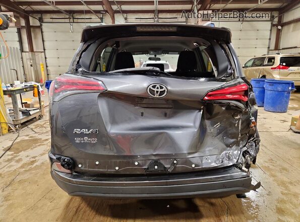 JTMBFREV6GD181852 2016 TOYOTA RAV4 Серый Вид сзади
