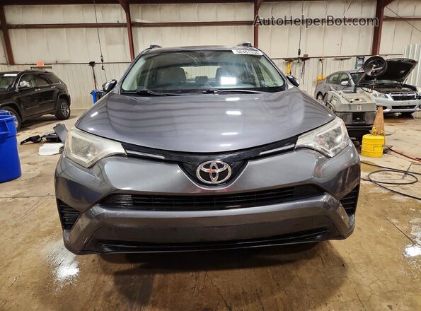JTMBFREV6GD181852 2016 TOYOTA RAV4 Серый Вид спереди
