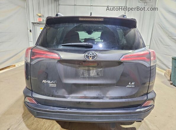 JTMBFREV8HJ139167 2017 TOYOTA RAV4 Серый Вид сзади