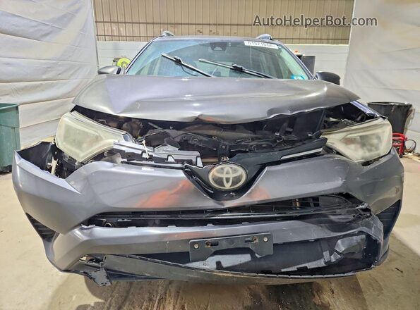 JTMBFREV8HJ139167 2017 TOYOTA RAV4 Серый Вид спереди