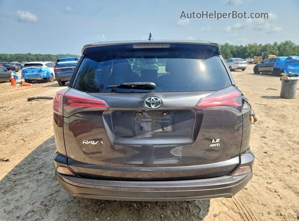 JTMBFREV8HJ163629 2017 TOYOTA RAV4 Gray Widok z tyłu