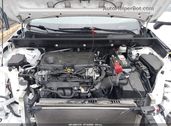 JTMC1RFV2KD509746 2019 TOYOTA RAV4 White Widok z tyłu