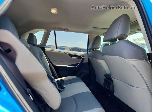JTMC1RFV2LD046735 2020 TOYOTA RAV4 Blue Vista interior trasera