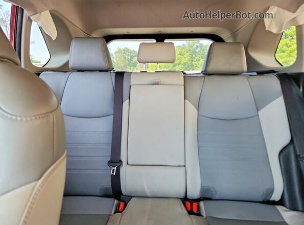 JTMC1RFV8KD511873 2019 TOYOTA RAV4 Красный Вид задних сидений