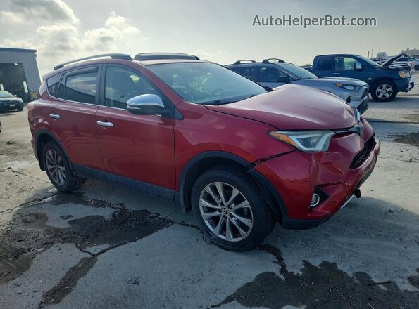 JTMDFREV5GJ061311 2016 TOYOTA RAV4 Красный Передняя правая четверть
