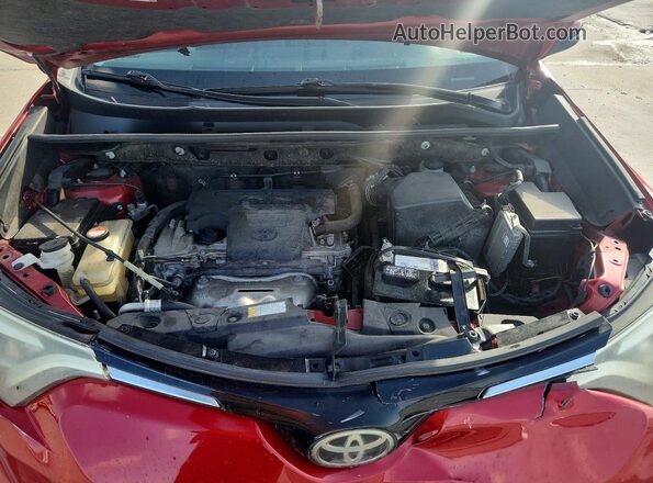 JTMDFREV5GJ061311 2016 TOYOTA RAV4 Красный Вид задней части салона