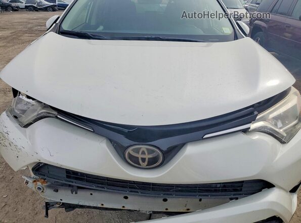 JTMDFREV9HJ169982 2017 TOYOTA RAV4 White Engine compartment view