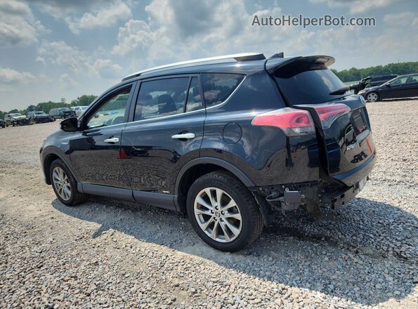 JTMDJREV1GD010563 2016 TOYOTA RAV4 Black Trasero izquierdo