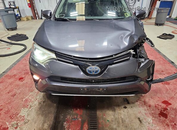 JTMDJREV1GD036998 2016 TOYOTA RAV4 Charcoal Սալոնի հետևի տեսք