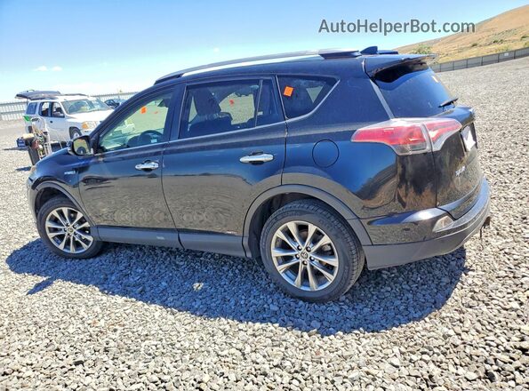 JTMDJREV1HD068867 2017 TOYOTA RAV4 Black უკანა მარცხენა