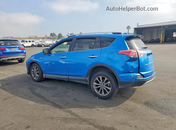 JTMDJREV3GD015831 2016 TOYOTA RAV4 Blue Հետևի ձախ