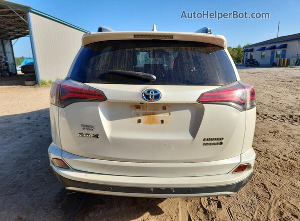 JTMDJREV6GD038844 2016 TOYOTA RAV4 White Rear view