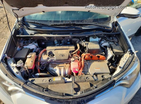 JTMDJREV6GD038844 2016 TOYOTA RAV4 White Rear interior view