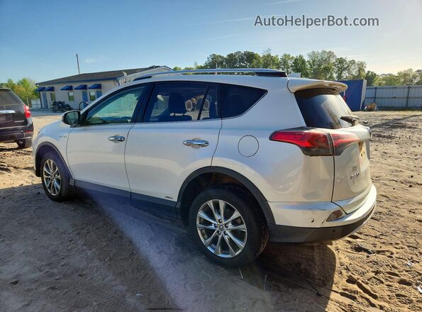 JTMDJREV6GD038844 2016 TOYOTA RAV4 White Rear left