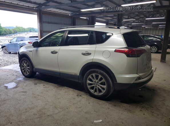 JTMDJREV8GD048663 2016 TOYOTA RAV4 White Задня ліва чверть