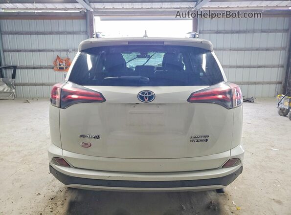 JTMDJREV8GD048663 2016 TOYOTA RAV4 White Вид ззаду