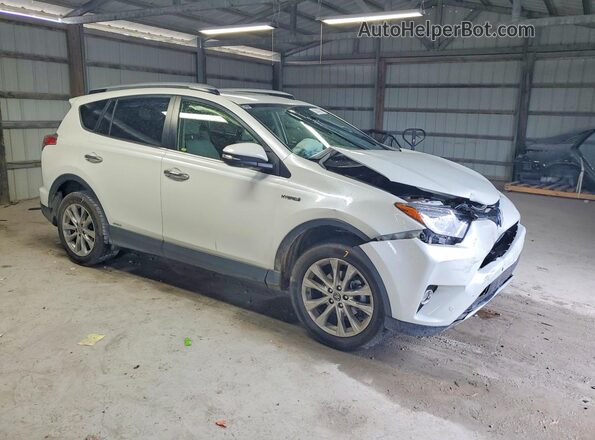 JTMDJREV8GD048663 2016 TOYOTA RAV4 White Передня права чверть