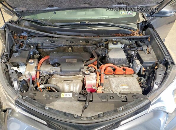 JTMDJREV9HD144769 2017 TOYOTA RAV4 Gray Engine compartment view