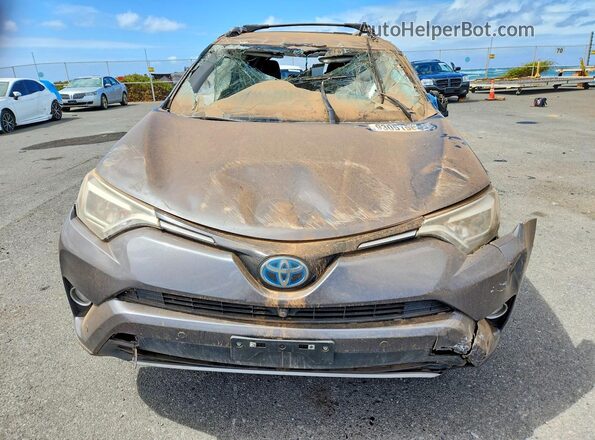 JTMDJREVXHD147907 2017 TOYOTA RAV4 Угольный Вид спереди
