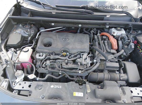 JTMDWRFV1KD517892 2019 TOYOTA RAV4 HYBRID Gray უკანა ხედი