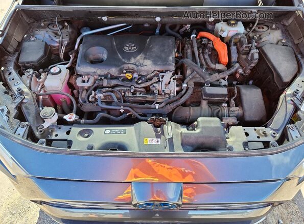 JTMDWRFV6LD055606 2020 TOYOTA RAV4 Gray Vista interior trasera