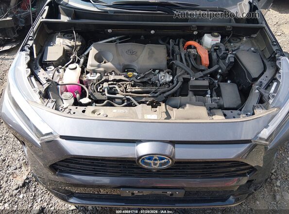 JTME6RFV1PJ030351 2023 TOYOTA RAV4 Gray Widok z tyłu