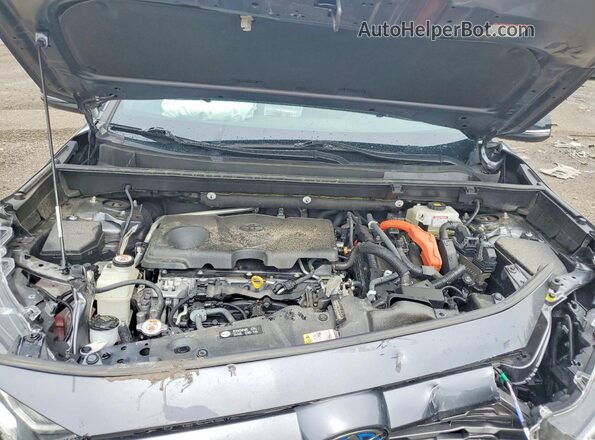 JTMEWRFV2KD506596 2019 TOYOTA RAV4 Gray Սալոնի հետևի տեսք