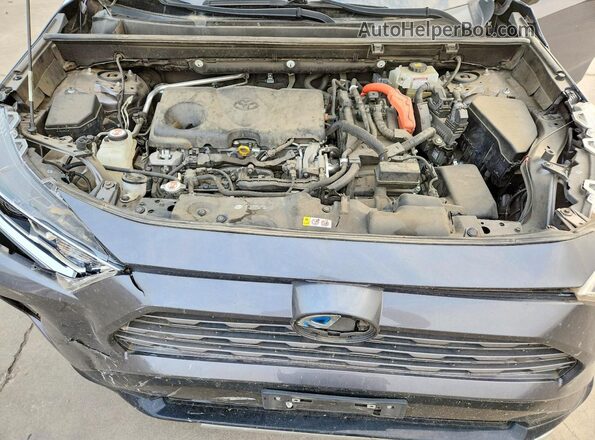 JTMEWRFV2KJ019657 2019 TOYOTA RAV4 Gray Вид задньої частини салону