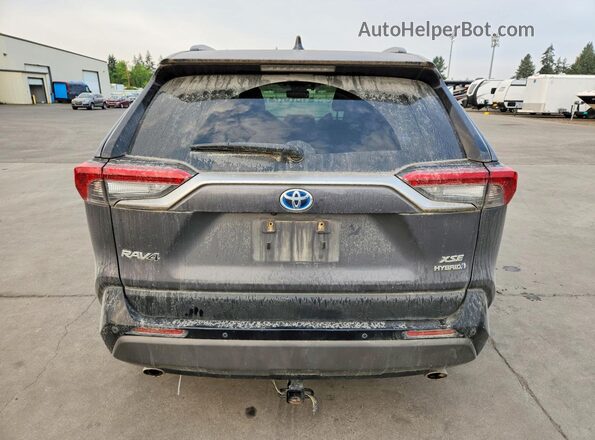 JTMEWRFV2KJ019657 2019 TOYOTA RAV4 Gray Вид ззаду