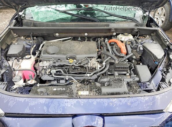 JTMEWRFV2LD535176 2020 TOYOTA RAV4 Blue Սալոնի հետևի տեսք