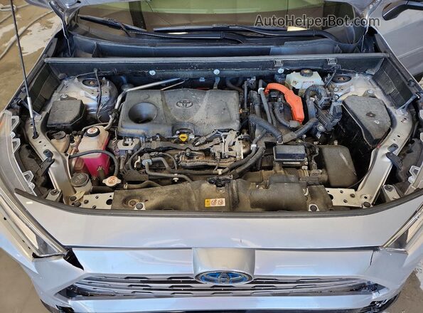 JTMEWRFV2LD541592 2020 TOYOTA RAV4 Silver Սալոնի հետևի տեսք