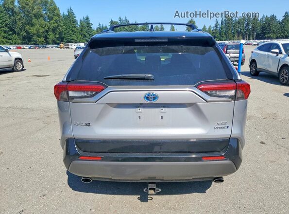 JTMEWRFV8LD543511 2020 TOYOTA RAV4 Silver Widok z tyłu