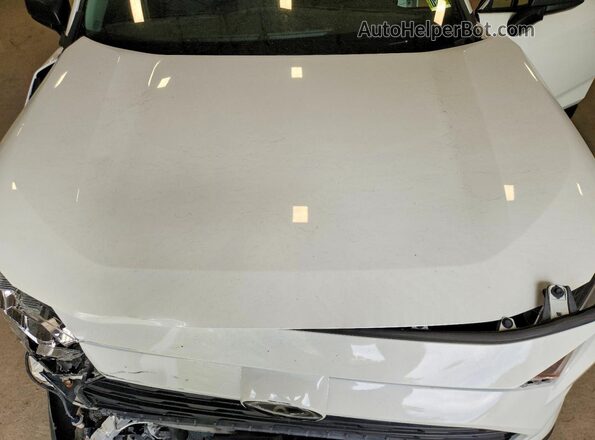 JTMF1RFV4KD044349 2019 TOYOTA RAV4 White Շարժիչի բաժամունքի տեսք