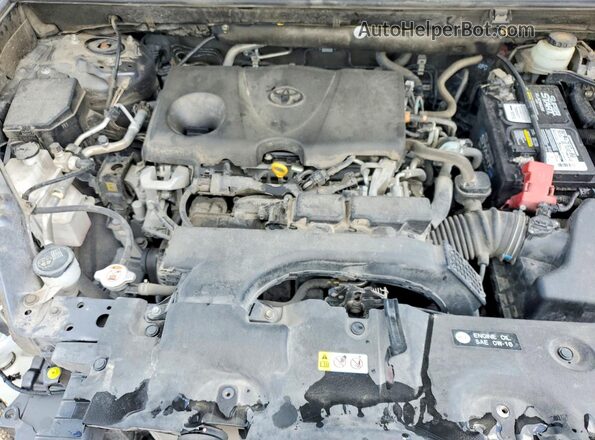 JTMF1RFV4LD049911 2020 TOYOTA RAV4 Gray Սալոնի հետևի տեսք