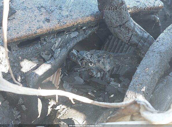 JTMF1RFV6LD050557 2020 TOYOTA RAV4 Gray Vista de los asientos traseros