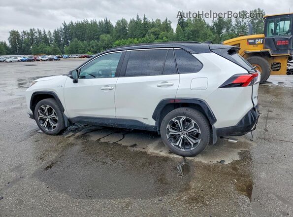 JTMFB3FV1PD143163 2023 TOYOTA RAV4 White Հետևի ձախ