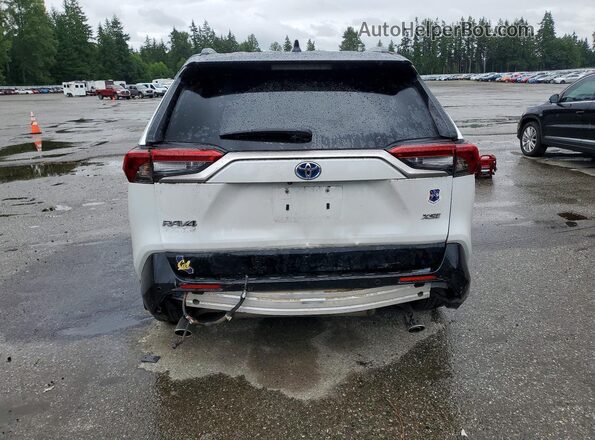 JTMFB3FV1PD143163 2023 TOYOTA RAV4 White Հետևի տեսք