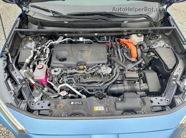 JTMFB3FV1RD191295 2024 TOYOTA RAV4 Blue Շարժիչի բաժամունքի տեսք
