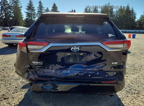 JTMFB3FV7RD233727 2024 TOYOTA RAV4 Blue Հետևի տեսք