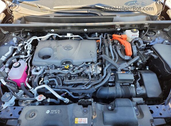 JTMFB3FV7RD233727 2024 TOYOTA RAV4 Blue Շարժիչի բաժամունքի տեսք