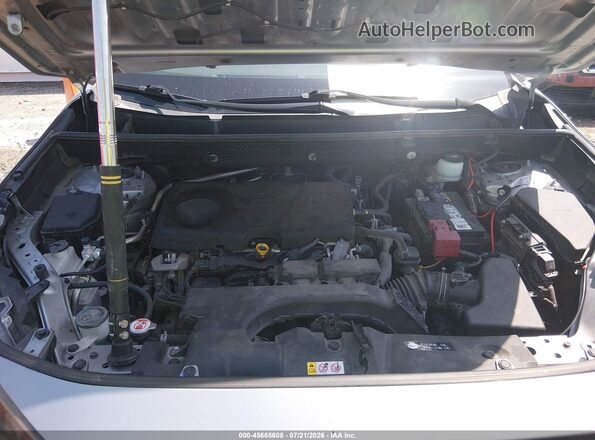 JTMH1RFV4KD508815 2019 TOYOTA RAV4 Silver Rear view