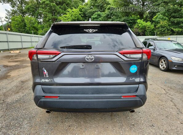 JTMH1RFV8KJ005239 2019 TOYOTA RAV4 Gray Widok z tyłu